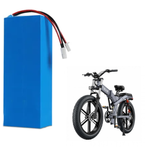 Pin xe đạp điện trợ lực 24V 12Ah