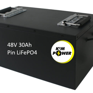 Pin xe đạp điện 48V 30Ah Lion