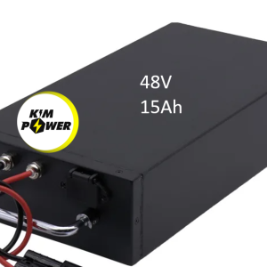 Pin xe đạp điện 48V 15Ah Li-ion 26800