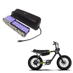 Pin xe đạp điện 36V 30Ah