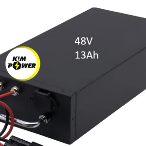 Pin xe đạp điện 48V 13Ah Lion 21700