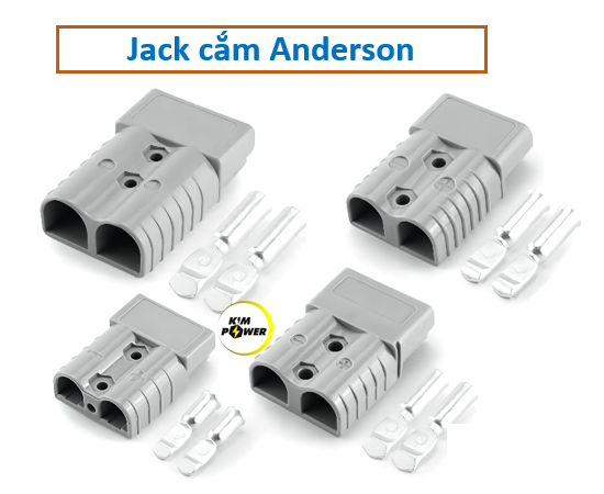 Anderson 2