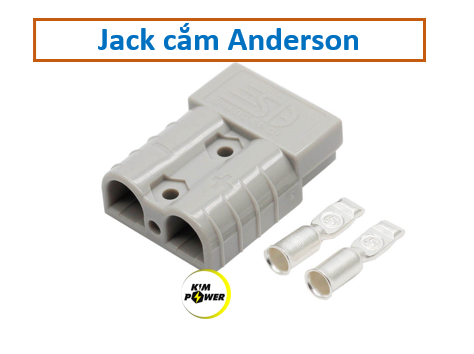 Anderson 3